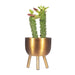 Sass & Belle Matte Gold Metal Planter On Legs Small Plant Pots & Planters Sass & Belle   