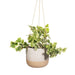 Sass & Belle Rustic White Half Glazed Hanging Planter Plant Pots & Planters Sass & Belle   