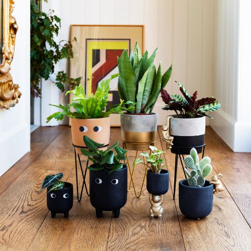 Sass & Belle Tuva Gold Dip Planter With Wire Stand Plant Pots & Planters Sass & Belle   