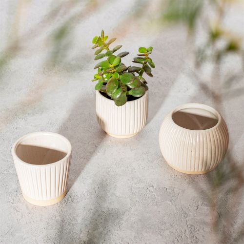 Sass & Belle White Grooved Small Planter Plant Pots & Planters Sass & Belle   