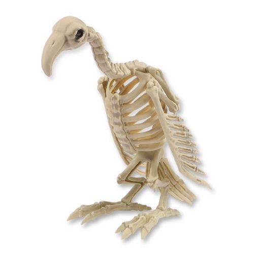 Halloween Vulture Skeleton Standing Decoration Halloween Decorations FabFinds   