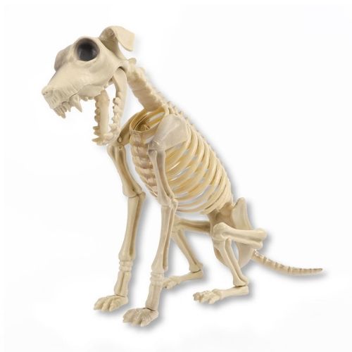 Halloween Dog Skeleton Standing Decoration Halloween Decorations FabFinds   