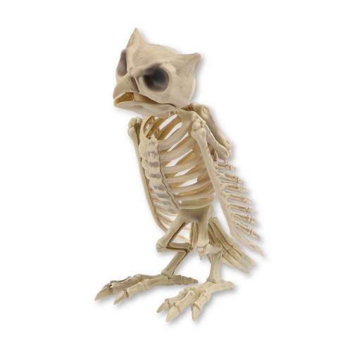 Halloween Owl Skeleton Standing Decoration Halloween Decorations FabFinds   