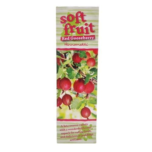 Soft Fruit Red Gooseberry Hinnomakki Soft Fruits FabFinds   