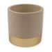 Gold Band Plant Pot Assorted Colours 11cm Plant Pots & Planters FabFinds   