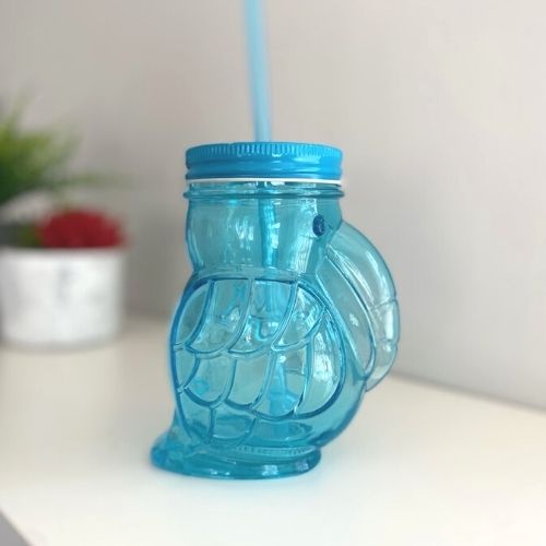 Toucan Mason Drinking Jar 430ml Kitchen Accessories FabFinds   