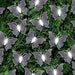 Butterfly Solar Lights 20 LED Assorted Colours Solar Lights FabFinds White  